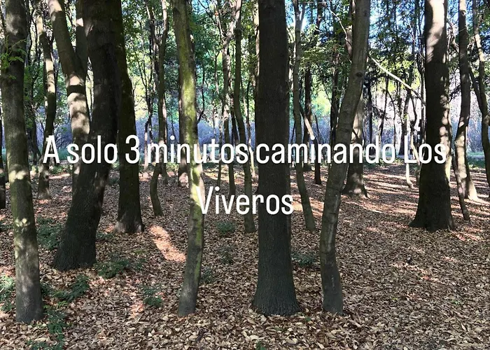 Bed and breakfast Coyoacan
